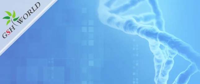 煙酰胺和nmn區(qū)別？煙酰胺單核苷酸(NMN) 的化合物