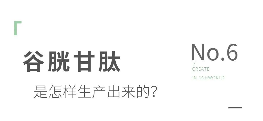 谷胱甘肽是如何生產(chǎn)的？