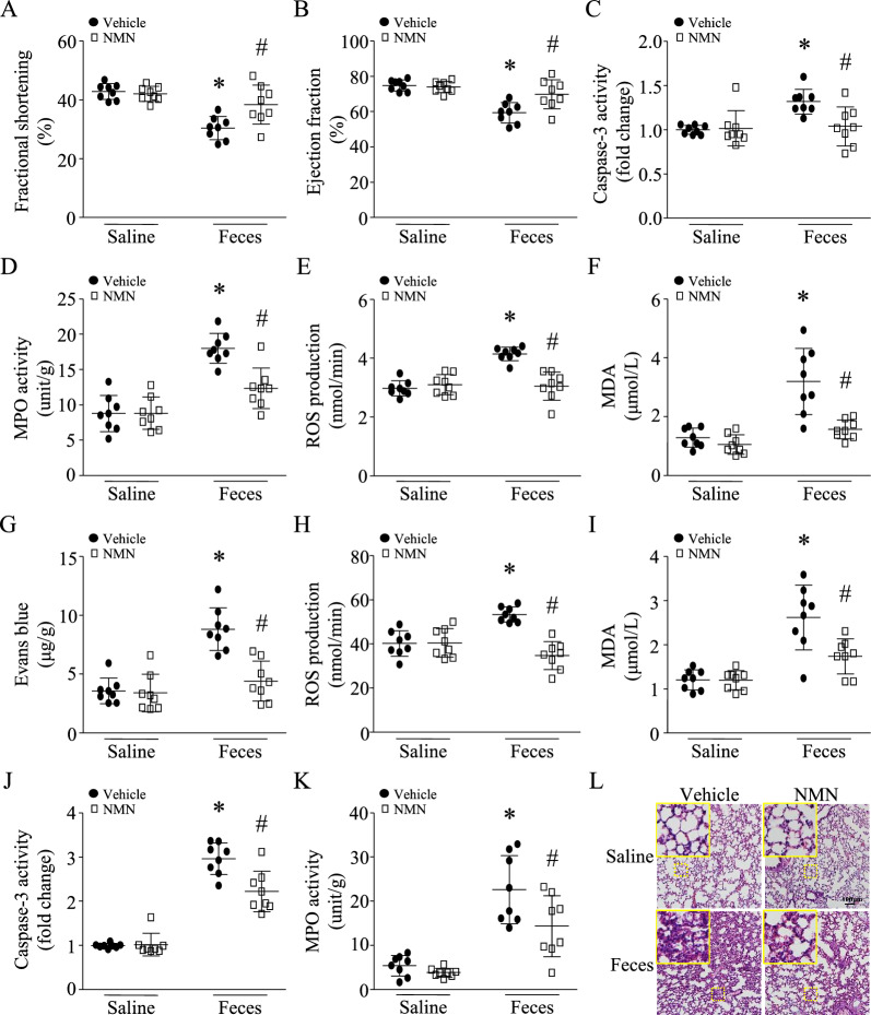 包含圖片、插圖等的外部文件。
對象名稱為 12967_2023_4767_Fig2_HTML.jpg