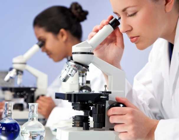 SAMe可用于治療ADHD嗎？