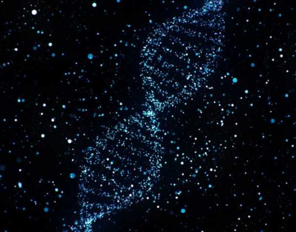 煙酰胺核糖氯化物有什么優(yōu)勢？