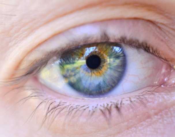 胞磷膽堿的作用機(jī)制 胞磷膽堿的作用機(jī)制