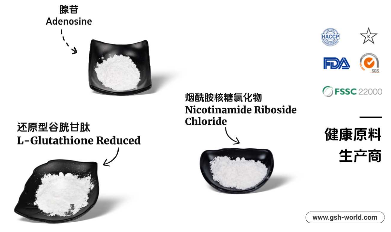 古特生物