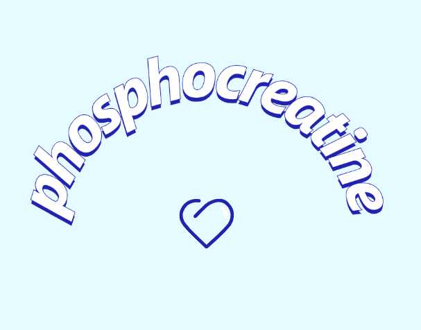認(rèn)識一下磷酸肌酸鈉