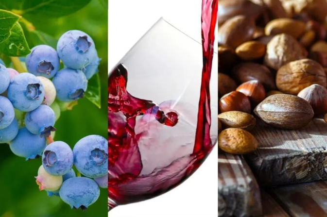 古特生物 古特生物