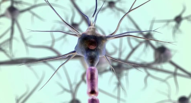 古特生物 古特生物