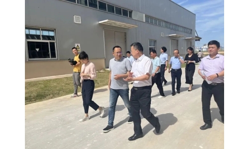 市委常委、副市長(zhǎng)呂棟來(lái)公司調(diào)研