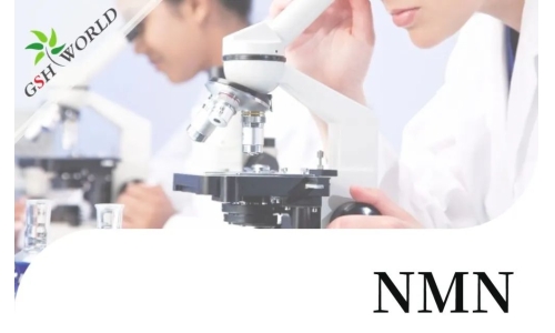 行業(yè)關(guān)注 - 最新研究長(zhǎng)期補(bǔ)充NMN可改善血管健康