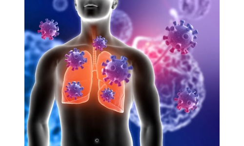 鐘南山：6月底將迎來二陽高峰！危害更大？NMN能有效抵御“二陽”！