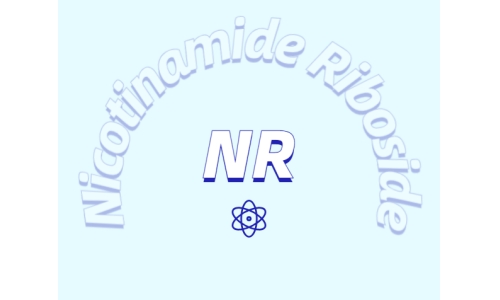 煙酰胺核糖氯化物是如何增加NDA+水平的？