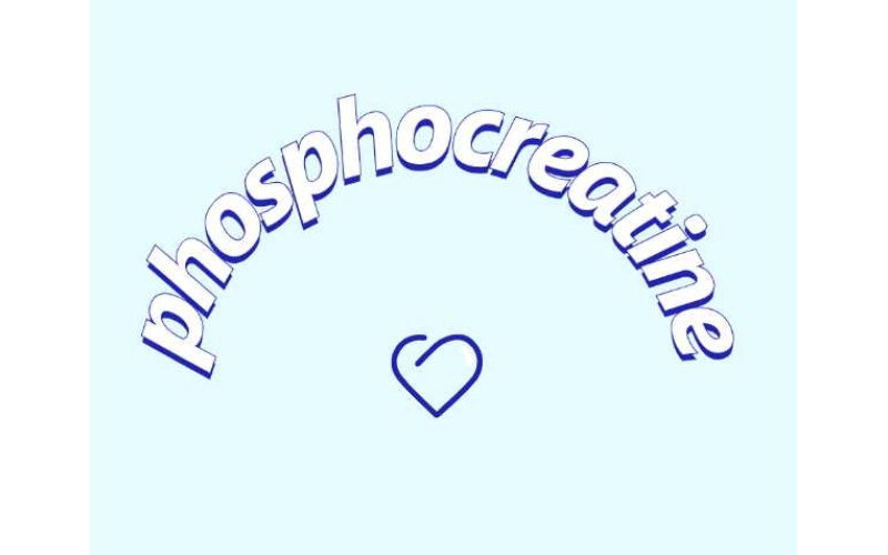 認(rèn)識(shí)一下磷酸肌酸鈉